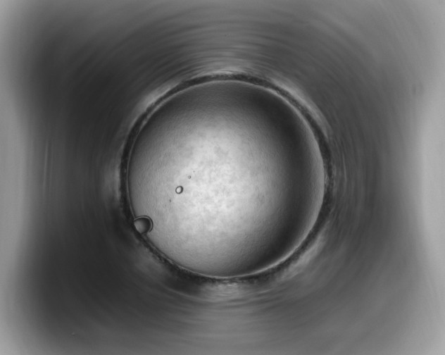 X0000099980834200805301352