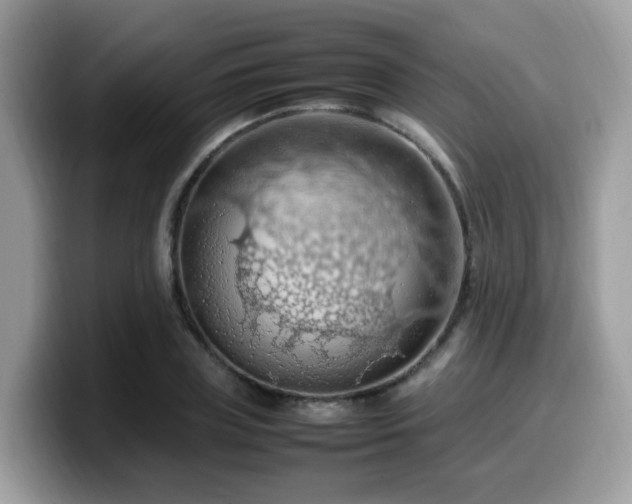 X0000099980835200805301352