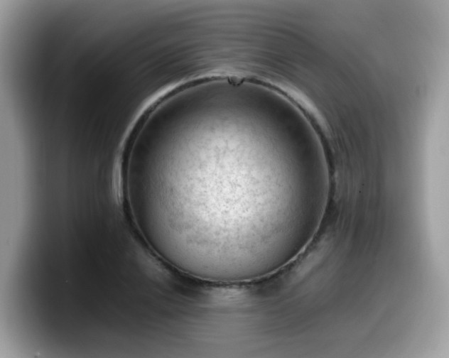 X0000099980838200805301352