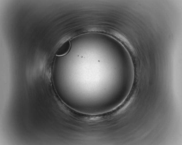 X0000099980841200805301352