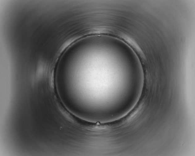 X0000099980842200805301352