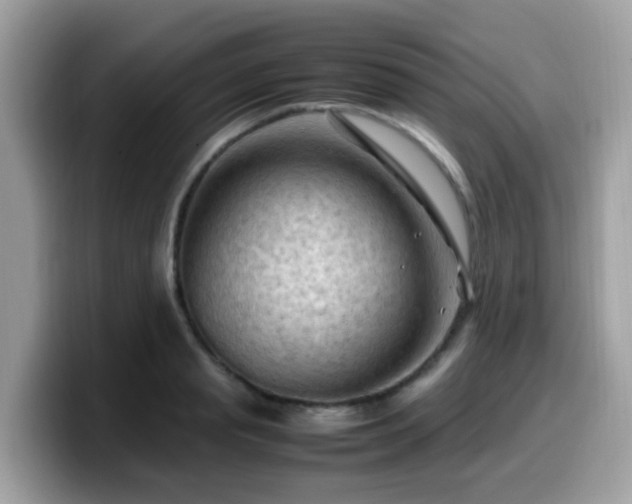 X0000099980845200805301352