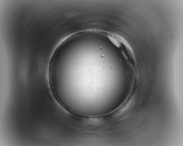 X0000099980847200805301352