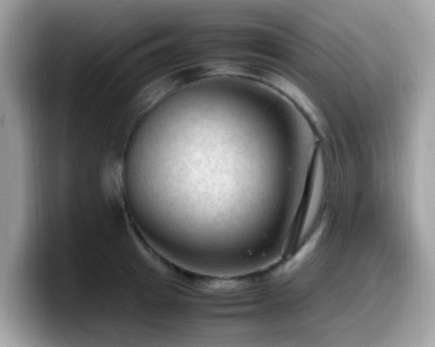 X0000099980849200805301352