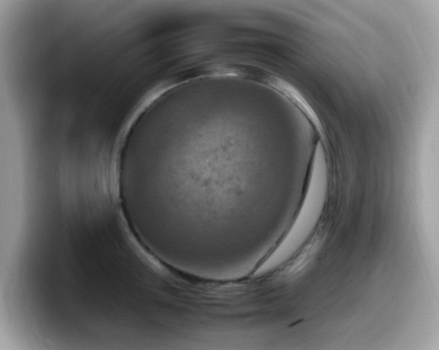 X0000099980851200805301352