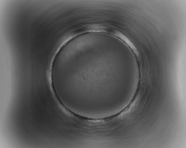 X0000099980853200805301352