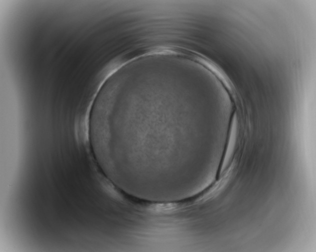 X0000099980858200805301352