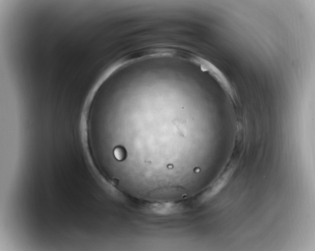 X0000099980859200805301352