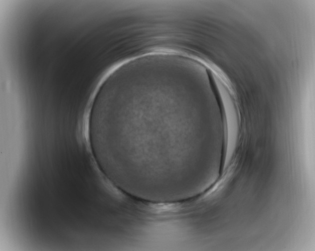 X0000099980862200805301352