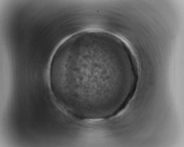 X0000099980864200805301352