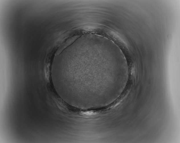 X0000099980868200805301351