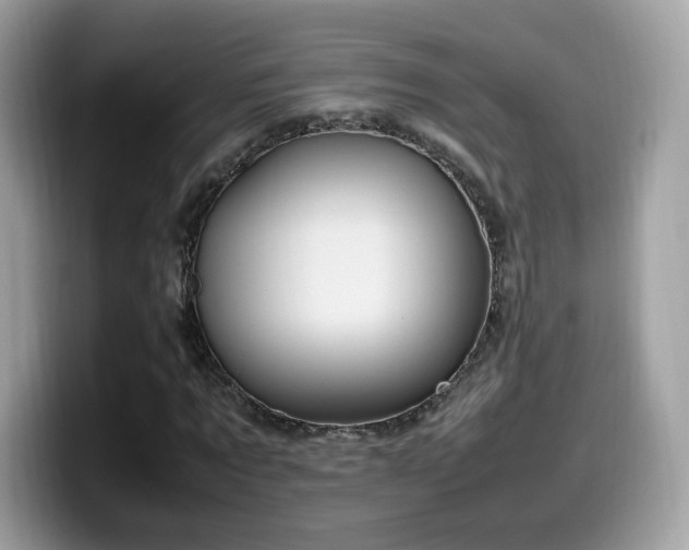 X0000099980869200805301351