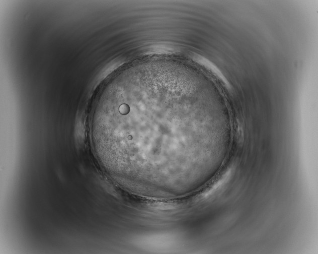 X0000099980874200805301351