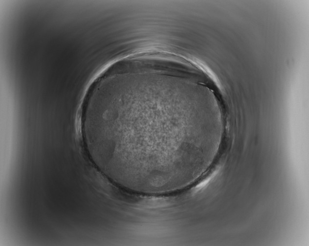 X0000099980877200805301351