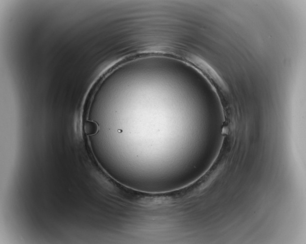 X0000099980884200805301351