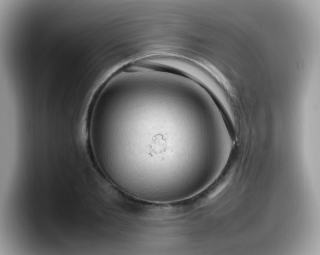 X0000099980885200805301351