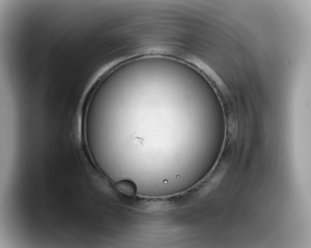 X0000099980886200805301351