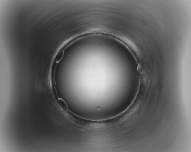 X0000099980888200805301351
