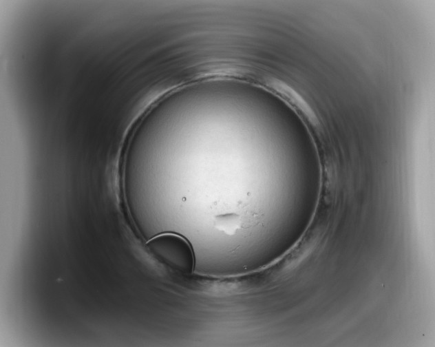 X0000099980890200805301351