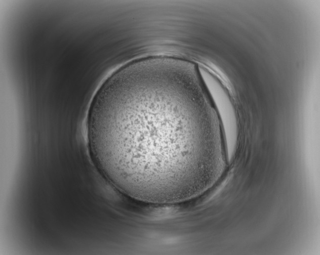 X0000099980891200805301351