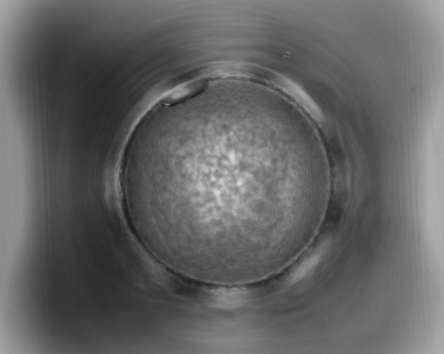 X0000099980893200805301351