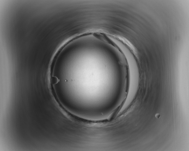X0000099980894200805301351