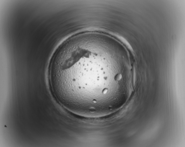 X0000099980895200805301351