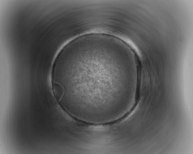 X0000099980896200805301351