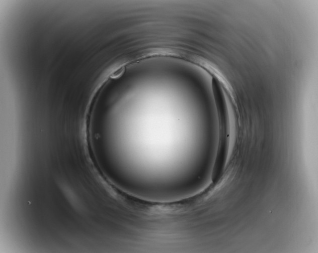 X0000099980898200805301351