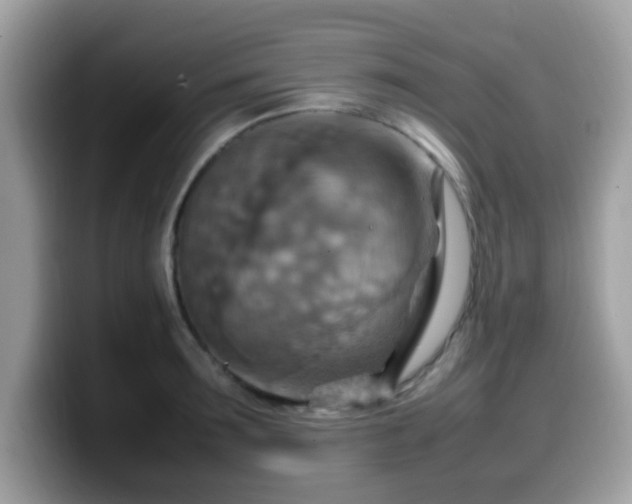 X0000099980899200805301351