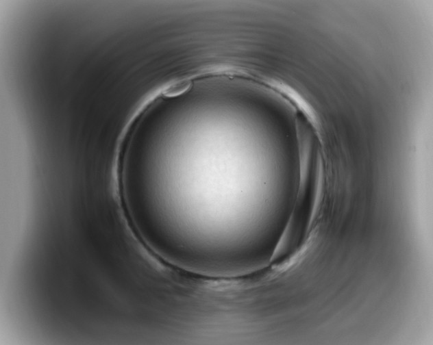 X0000099980902200805301351