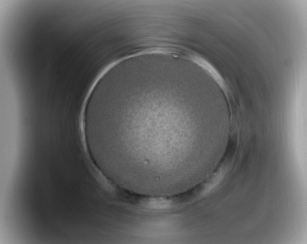 X0000099980907200805301351