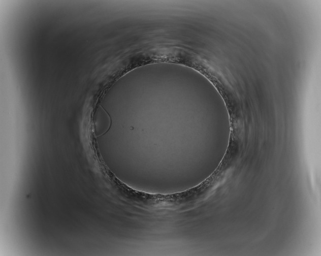 X0000099980913200805301350