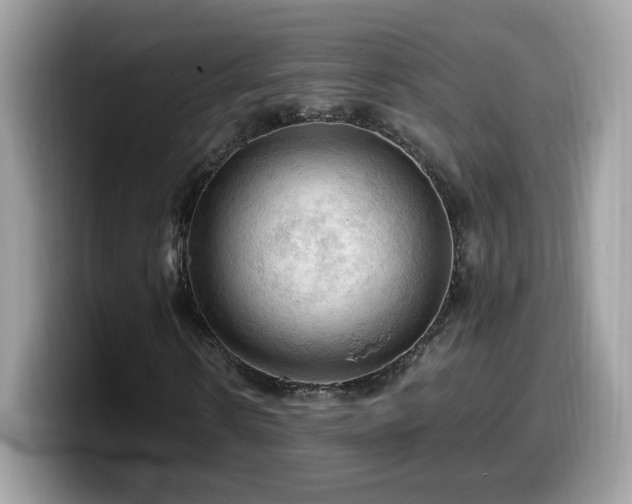 X0000099980914200805301350
