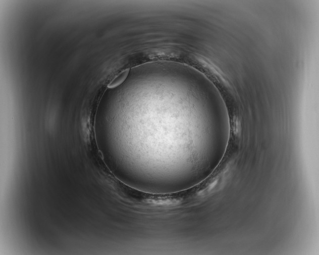 X0000099980915200805301350