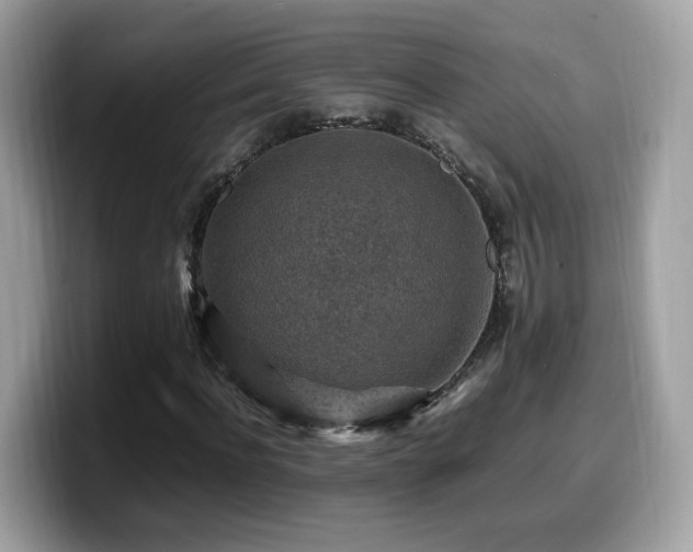 X0000099980916200805301350