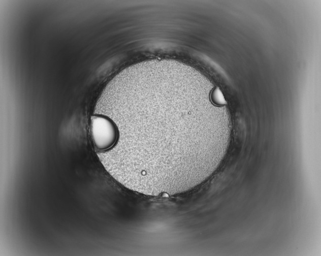 X0000099980918200805301350