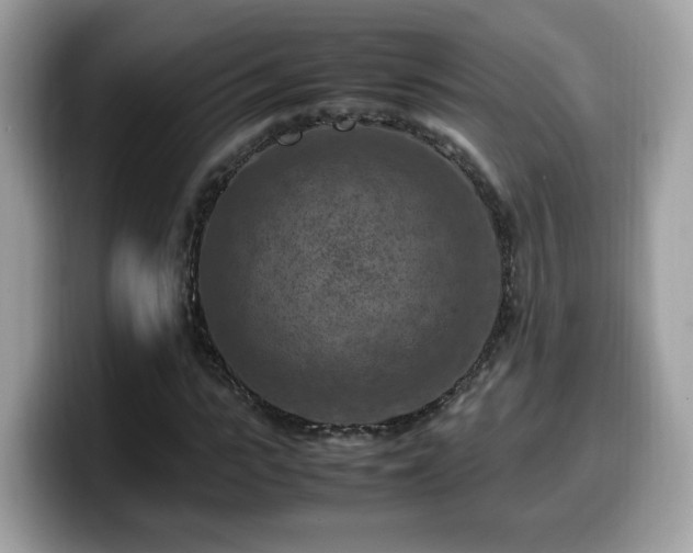 X0000099980919200805301350