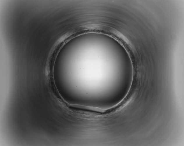 X0000099980922200805301350