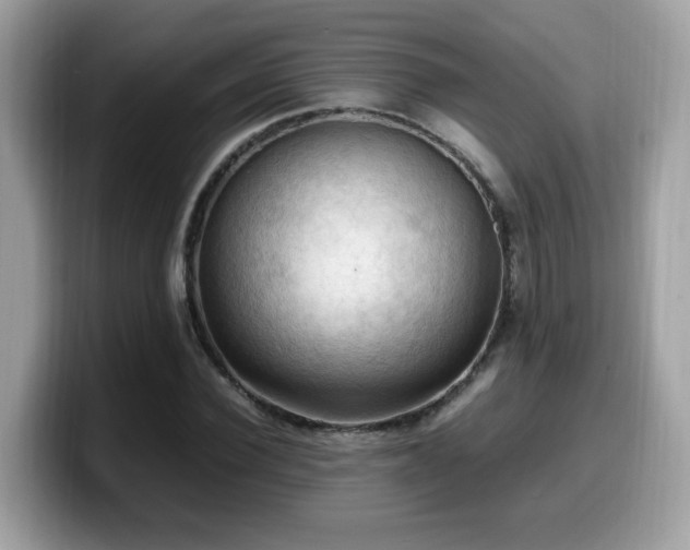X0000099980924200805301350