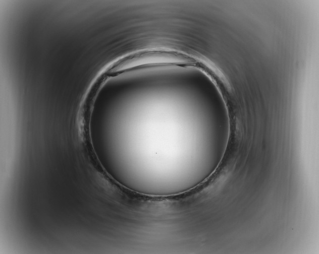 X0000099980926200805301350