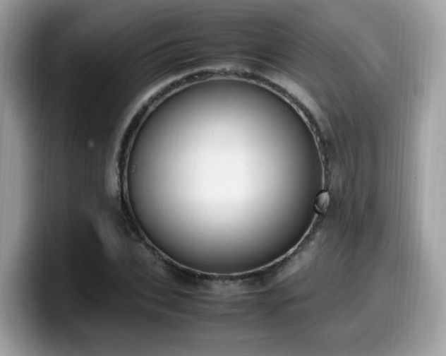 X0000099980927200805301350