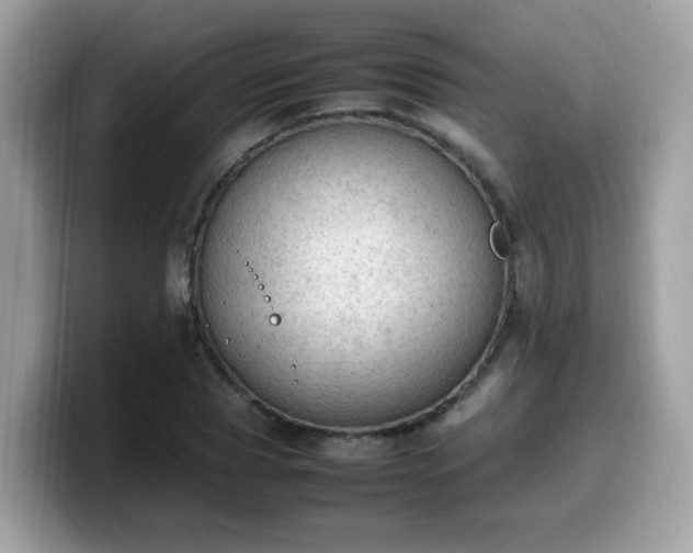 X0000099980929200805301350