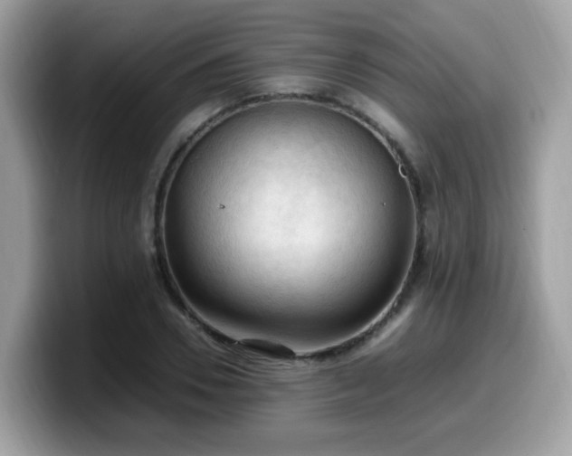 X0000099980930200805301350