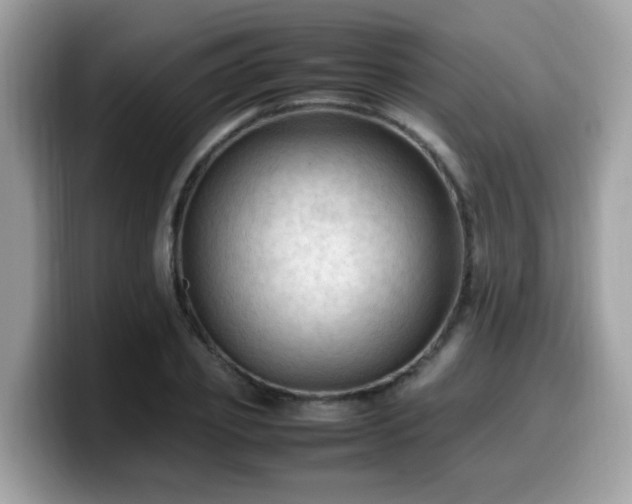 X0000099980933200805301350