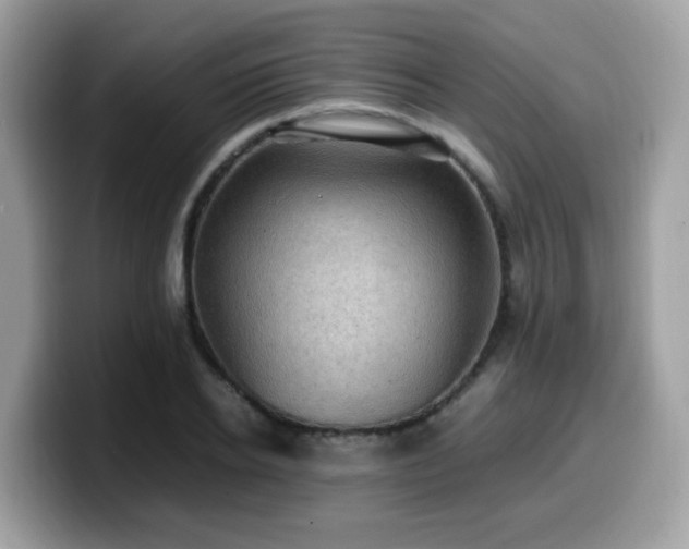 X0000099980934200805301350