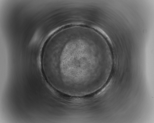 X0000099980935200805301350