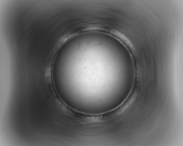 X0000099980937200805301351