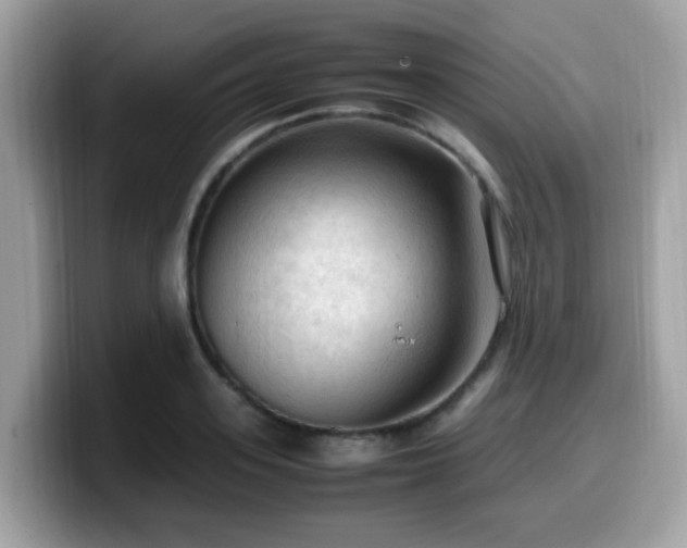 X0000099980939200805301351