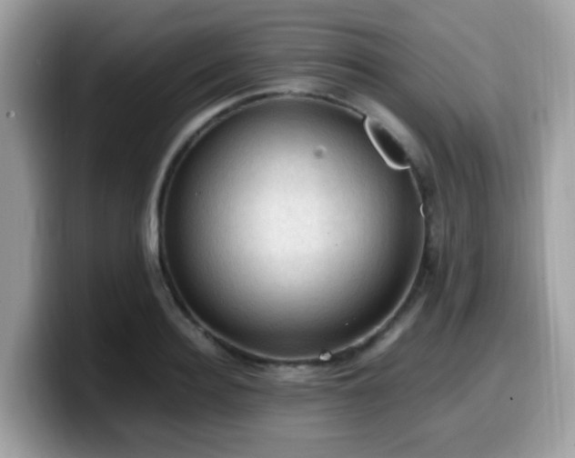 X0000099980940200805301351